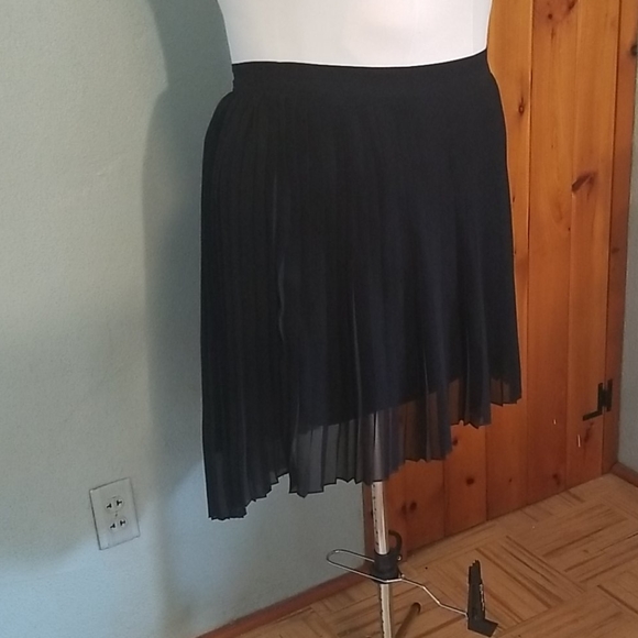 Pleated Chiffon Hi-Lo Skirt - Picture 3 of 5